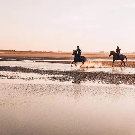 T1 Avec Balcon Pres Et Centre - Fr-1-465-126