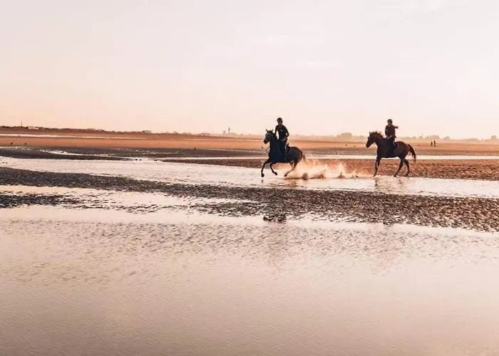 T1 Avec Balcon Pres Et Centre - Fr-1-465-126